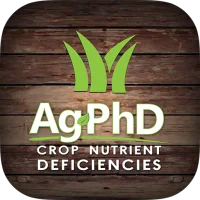 Ag PhD Deficiencies